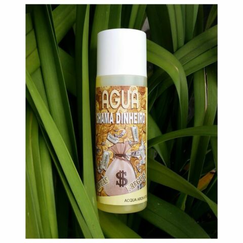 FLUIDO AROMATICO ESOTERICO BRASILIANO AGUA CHAMA DINHEIRO 100 ML